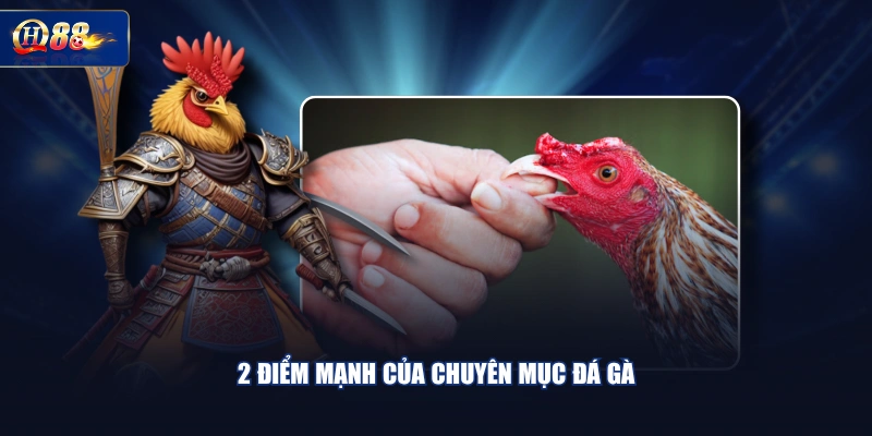 2 điểm mạnh của chuyên mục đá gà