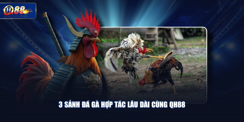 3 sảnh đá gà hợp tác lâu dài cùng QH88