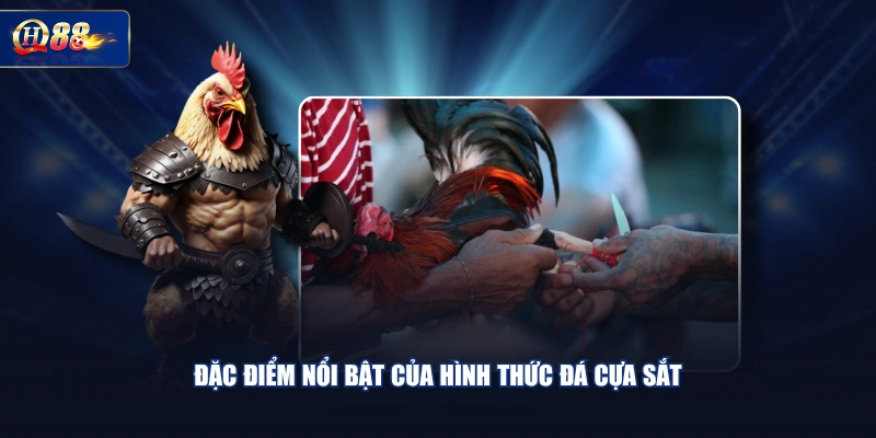 Đặc điểm nổi bật của hình thức đá cựa sắt