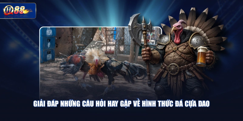 Giải đáp những câu hỏi hay gặp về hình thức đá cựa dao