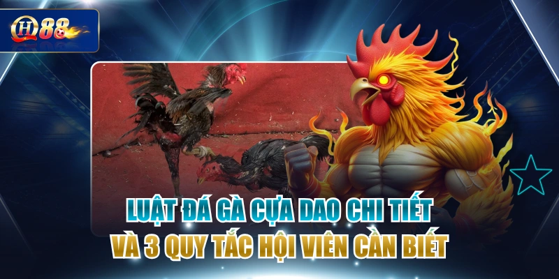 Luật Đá Gà Cựa Dao Chi Tiết Và 3 Quy Tắc Hội Viên Cần Biết