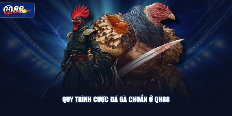 Quy trình cược đá gà chuẩn ở QH88